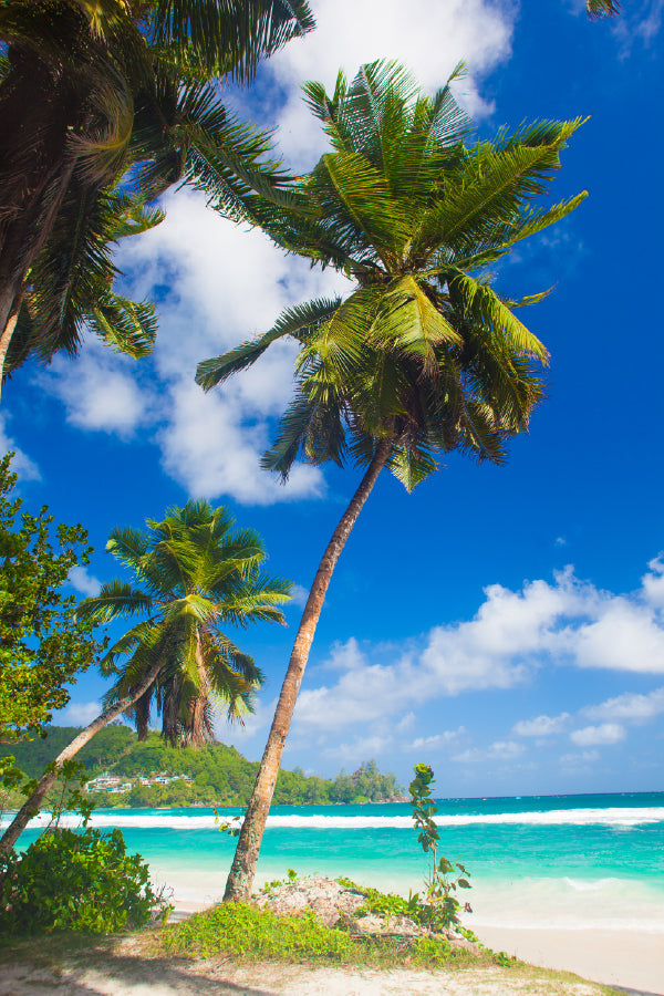 Palm Trees & Seawaves with Blue Sky Print 100% Australian Made