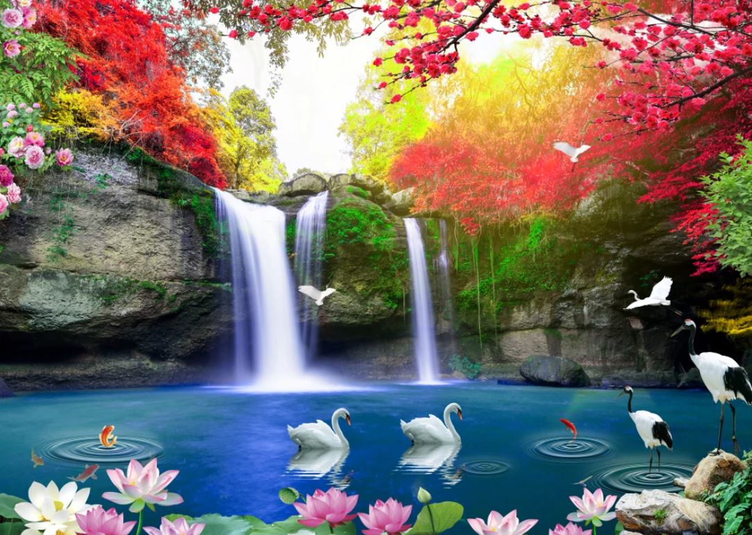 Birds on Pond Near Waterfall Scenery Photograph Home Decor Premium Quality Poster Print Choose Your Sizes