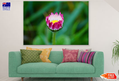 Pink Flower Closeup Photograph Print 100% Australian Made