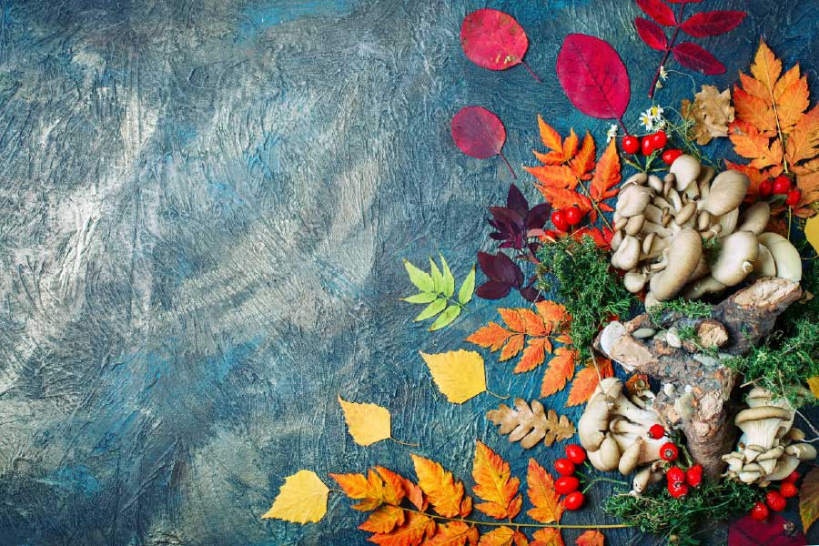 Bella Home Autumn leaves Mushrooms & Berries Print Canvas Ready to hang