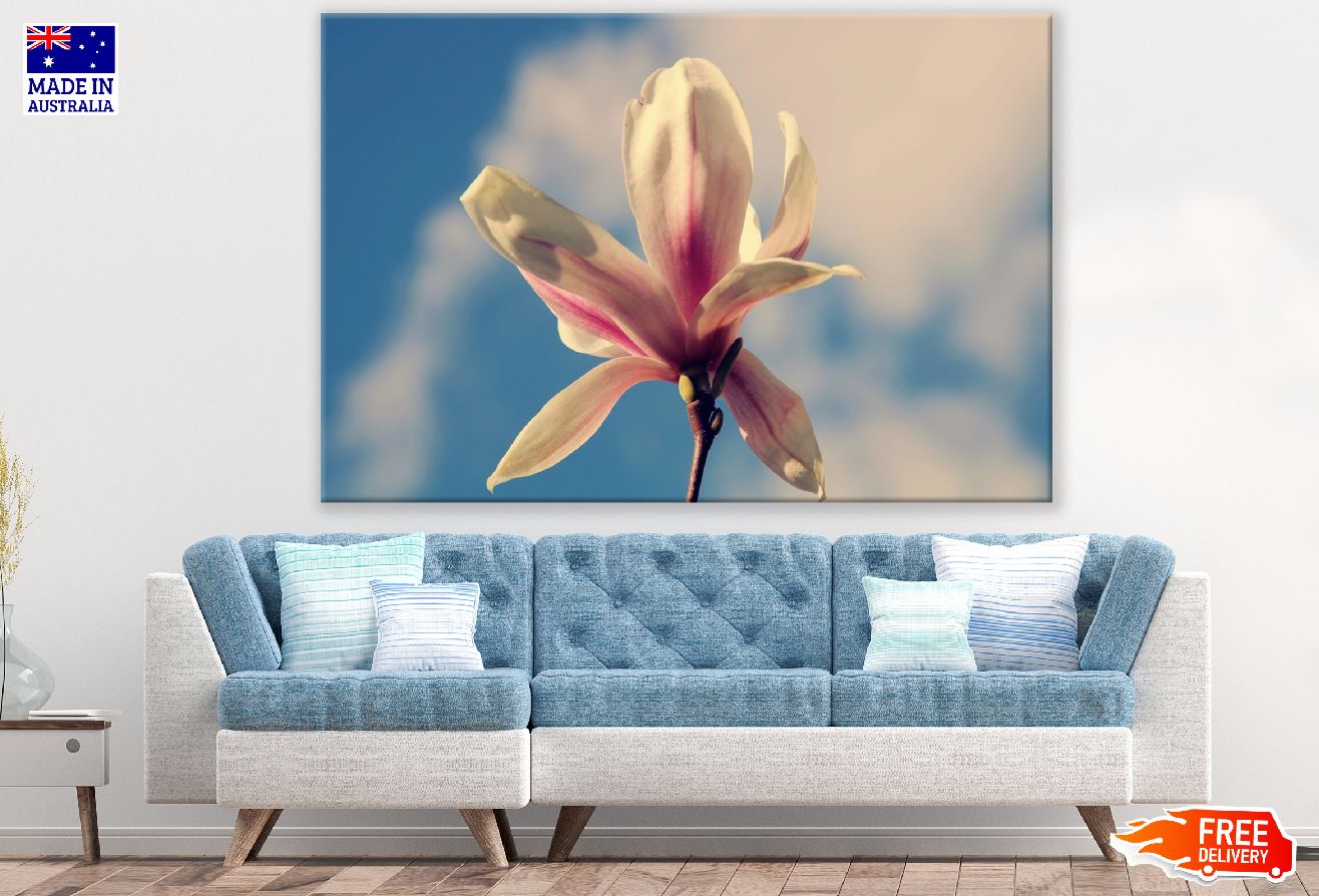White Magnolia Flower Closeup Photograph Print 100% Australian Made