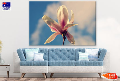 White Magnolia Flower Closeup Photograph Print 100% Australian Made