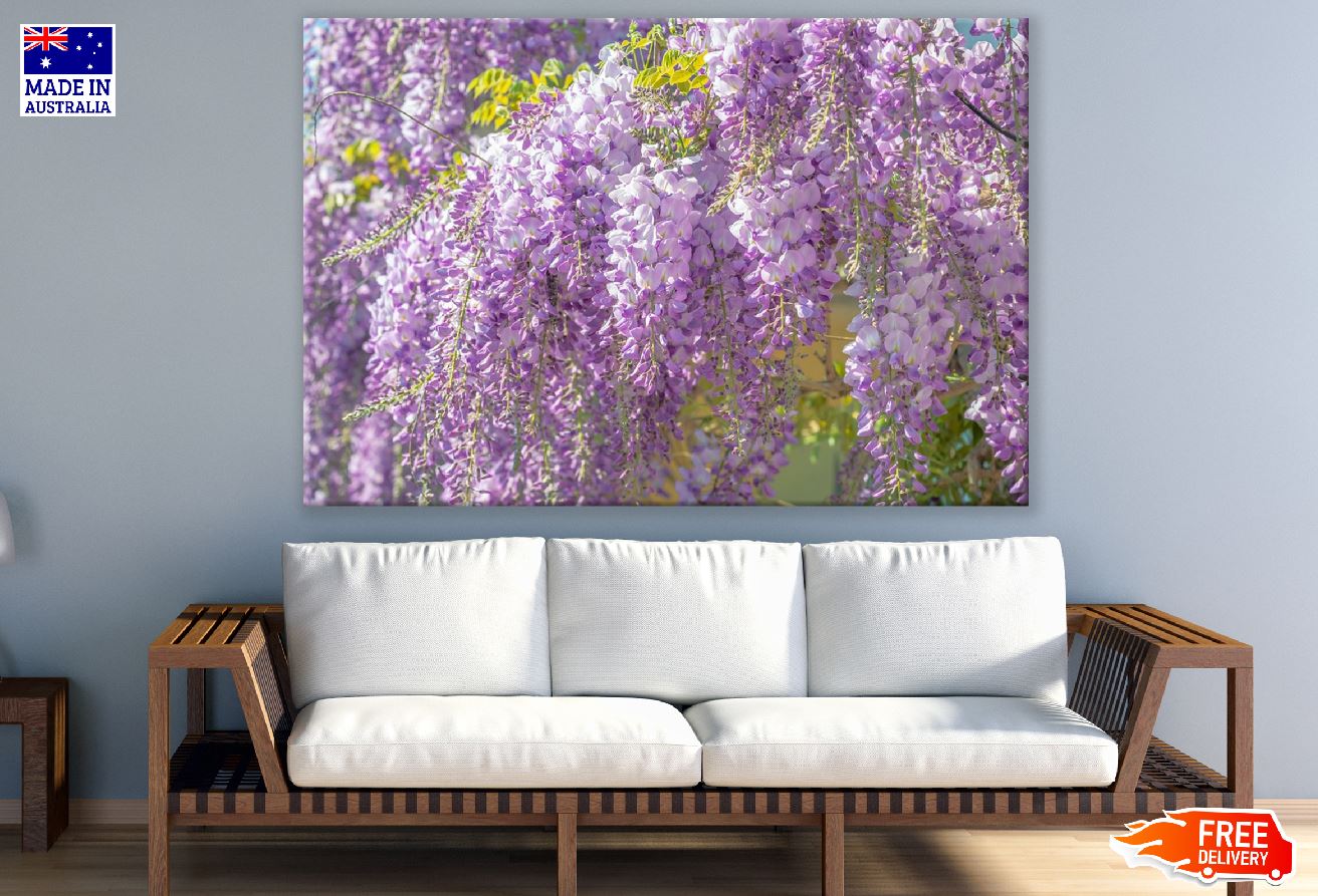 Purple Wisteria Flowers Photograph Print 100% Australian Made