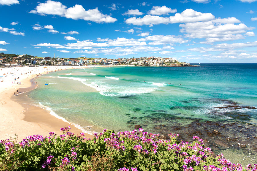 Bondi Beach Park View Photograph Print 100% Australian Made