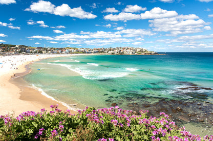 Bondi Beach Park View Photograph Print 100% Australian Made