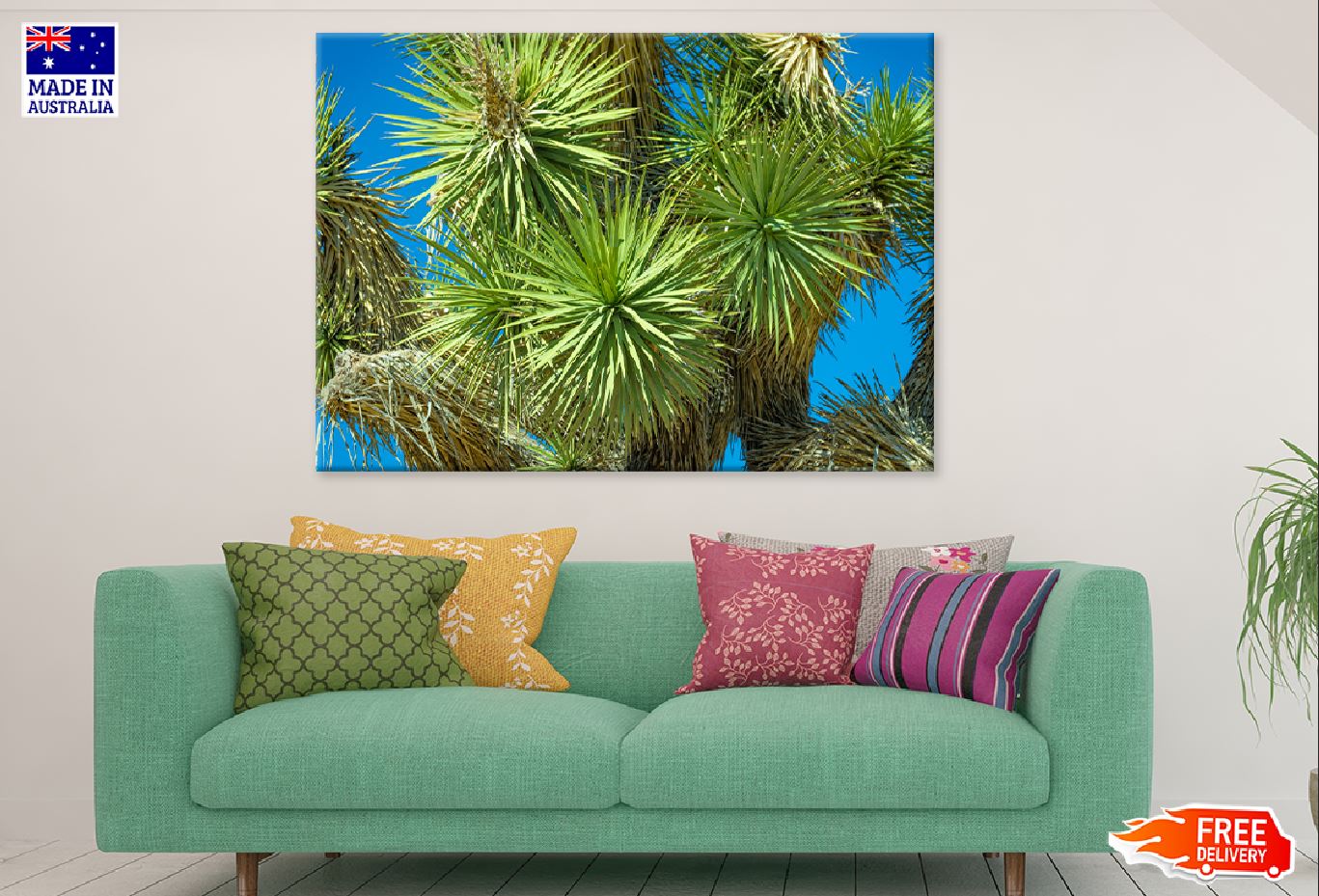 Spike Needles in Joshua Tree View Photograph Print 100% Australian Made