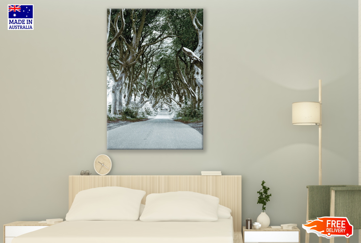 Dark Hedges Street Print 100% Australian Made