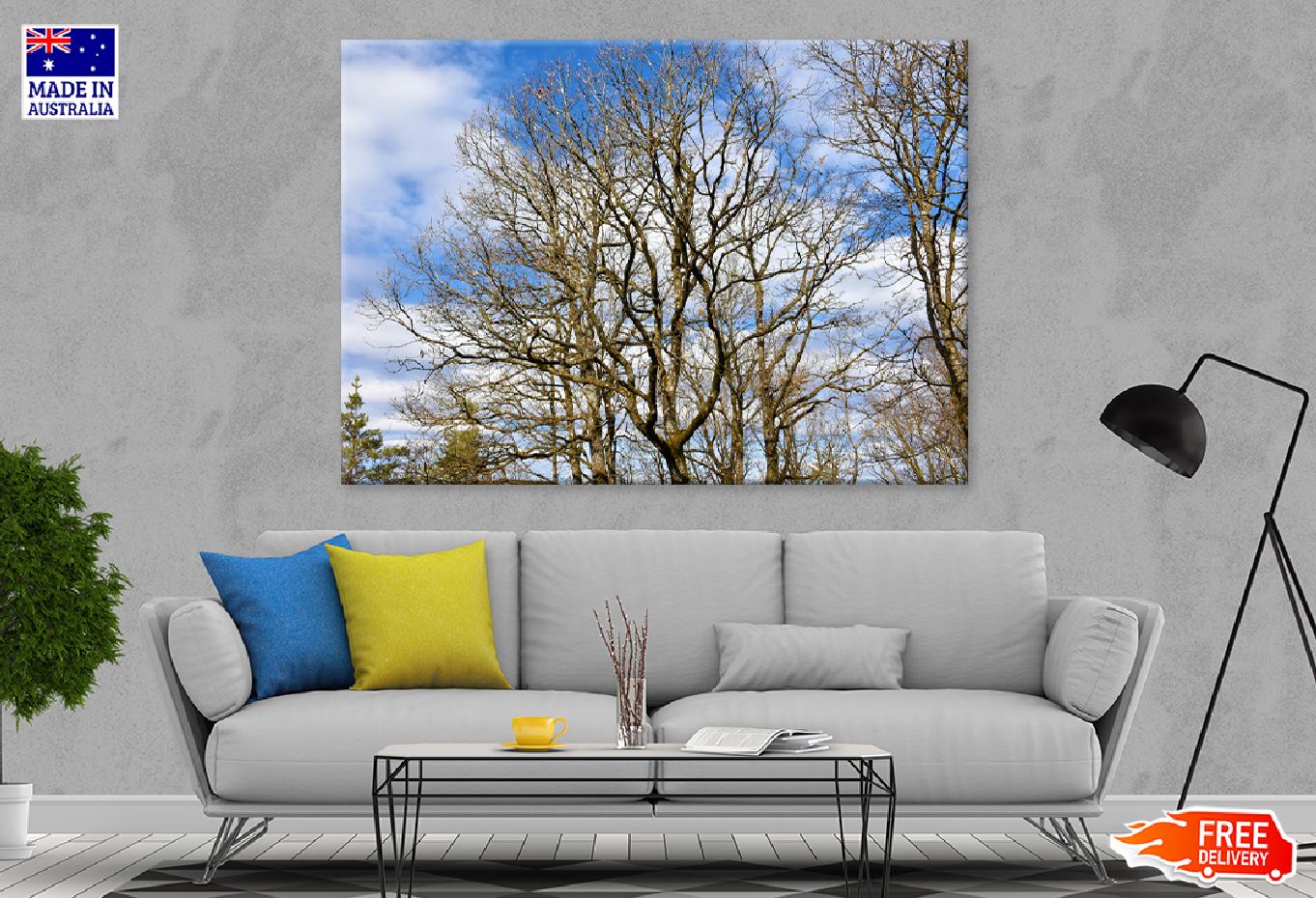 Leafless Trees View Photograph Print 100% Australian Made