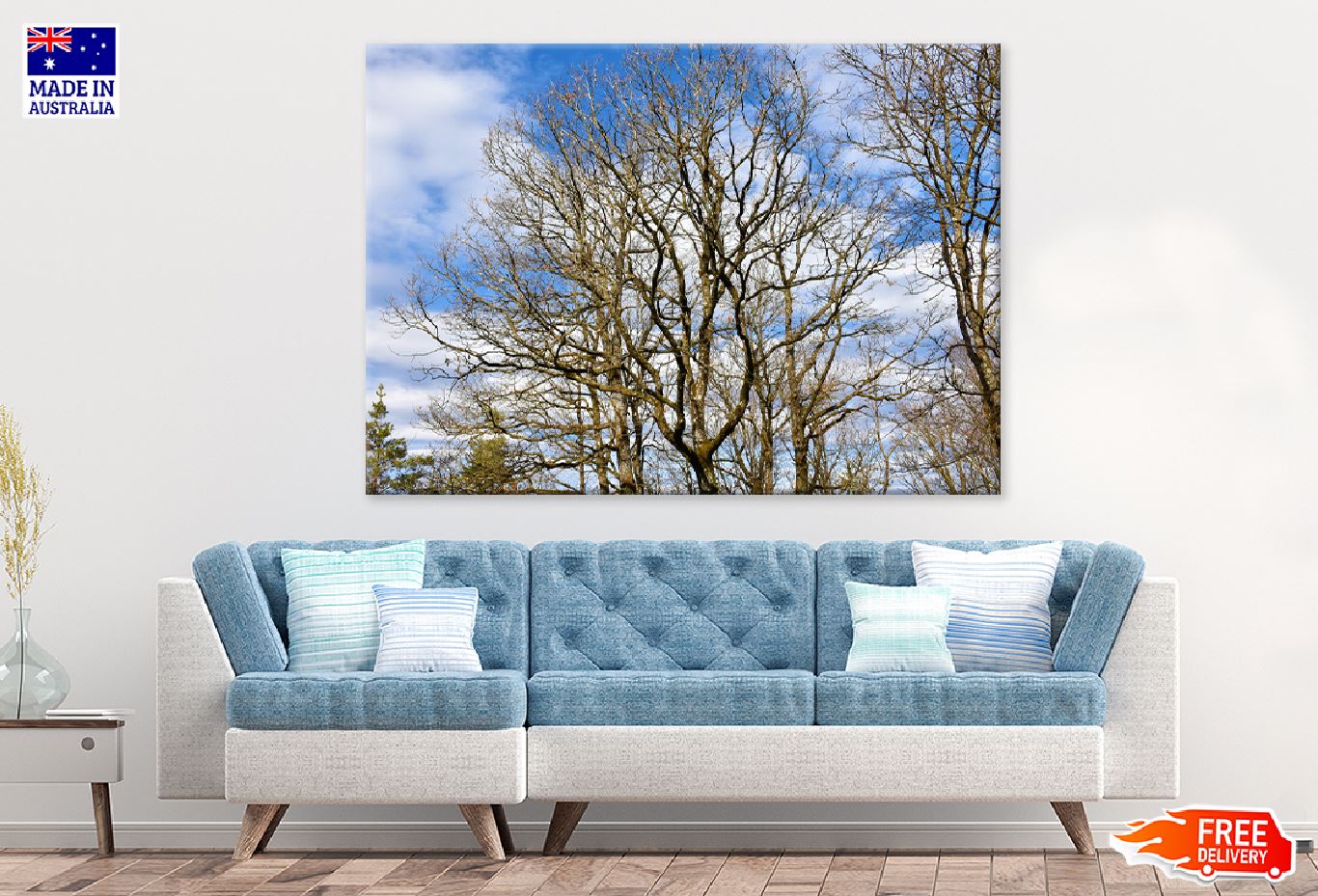 Leafless Trees View Photograph Print 100% Australian Made