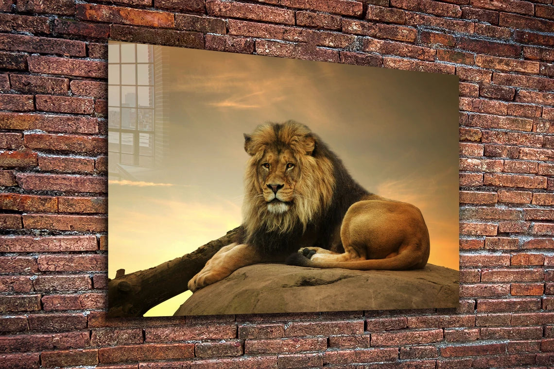 Lion on Rock Sunset Sky Print Tempered Glass Wall Art 100% Made in Australia Ready to Hang