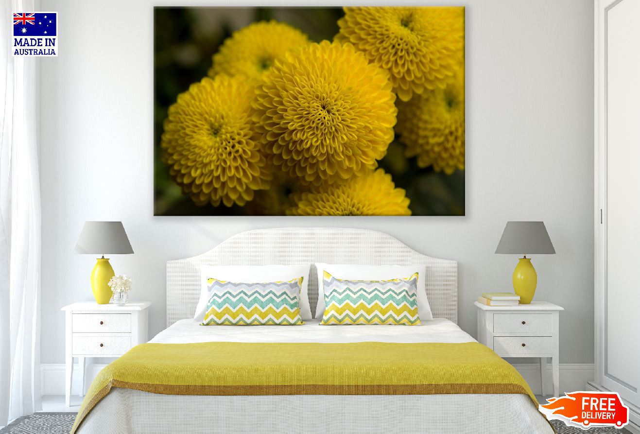 Yellow Spring Flower Closeup Photograph Print 100% Australian Made