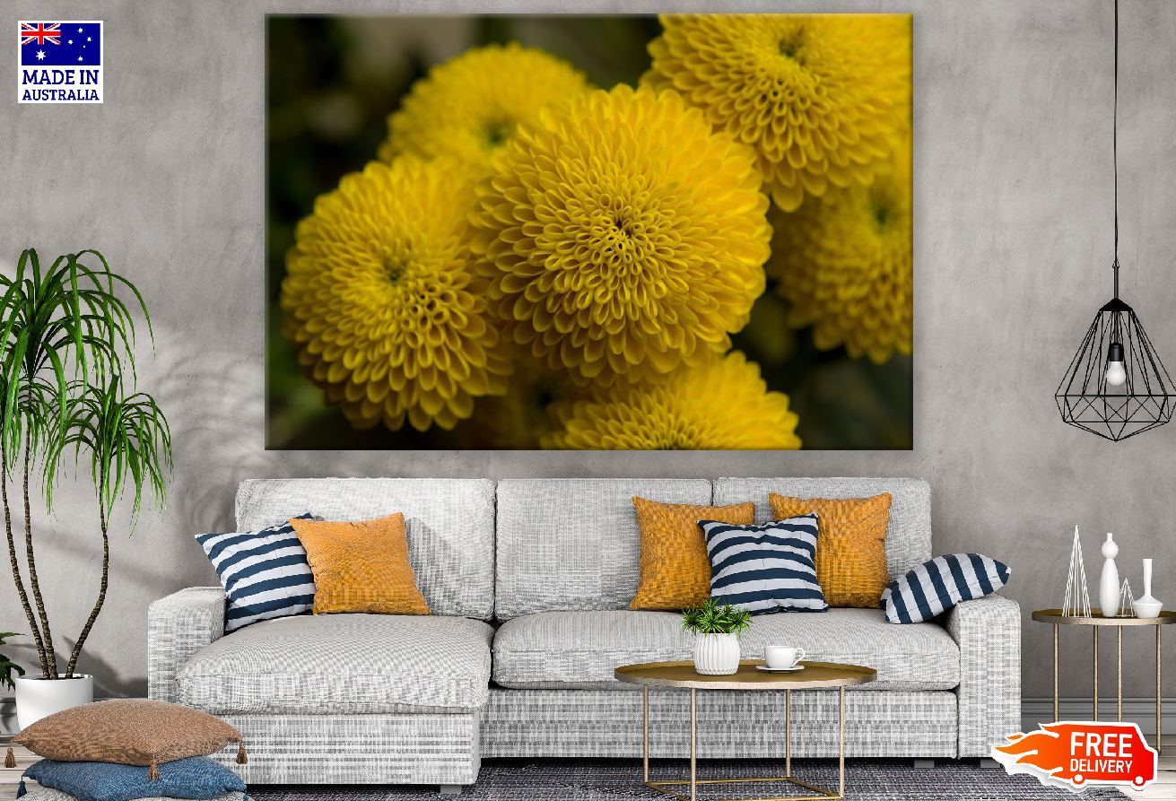 Yellow Spring Flower Closeup Photograph Print 100% Australian Made