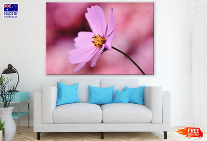 Pink Cosmos Flower Closeup Photograph Print 100% Australian Made