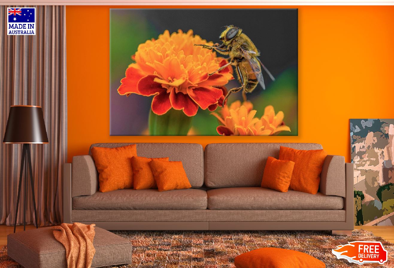 Bee on a Marigold Flower Closeup Photograph Print 100% Australian Made
