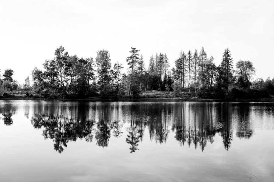 Bella Home Trees near Lake B&W Scenery View Print Canvas Ready to hang