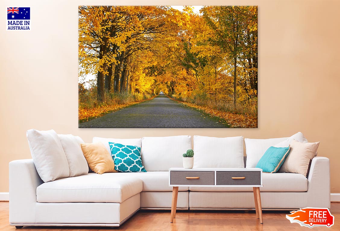 Road in Maple Tree Forest Photograph Print 100% Australian Made