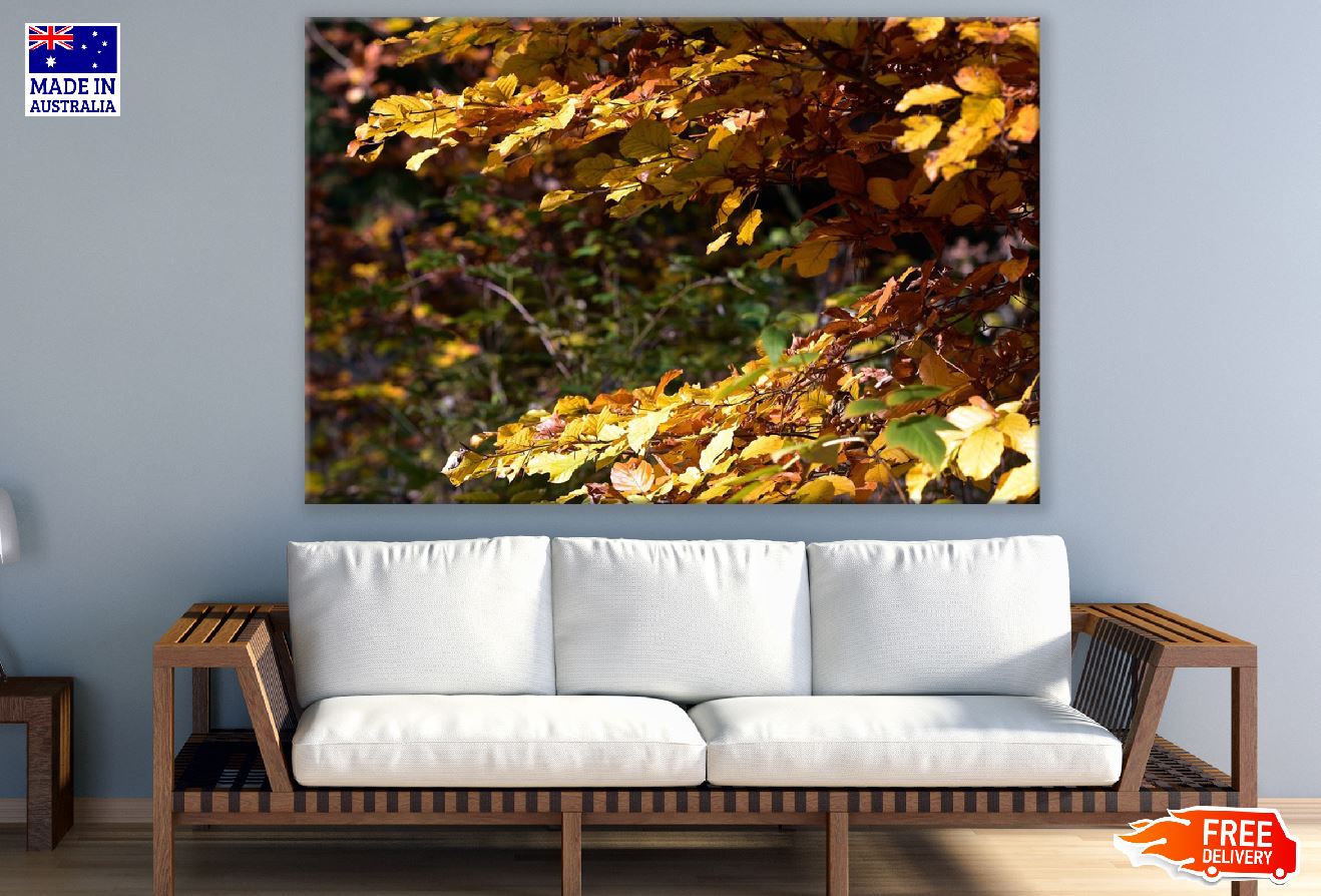 Yellow Leaves Tree Branch Photogaph Print 100% Australian Made