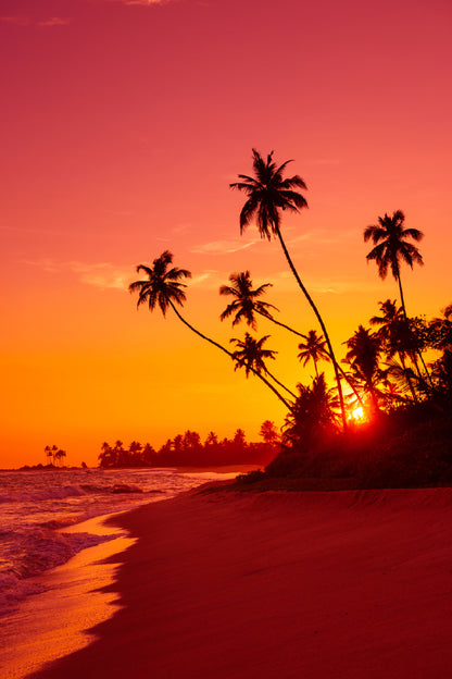 Warm Sunset Sea with Palm Trees Photograph Print 100% Australian Made