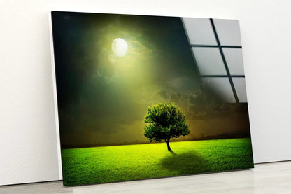 Moon Light on Tree 3D Design Acrylic Glass Print Tempered Glass Wall Art 100% Made in Australia Ready to Hang