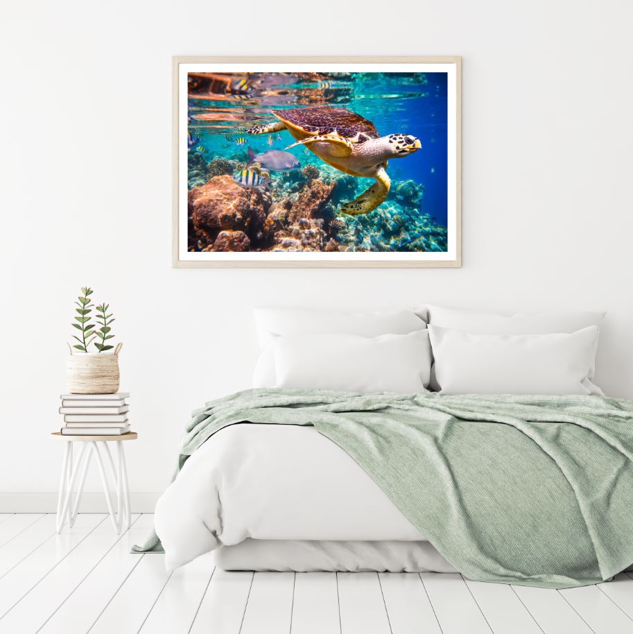 Turtle & Fish Under Sea Scenery Home Decor Premium Quality Poster Print Choose Your Sizes