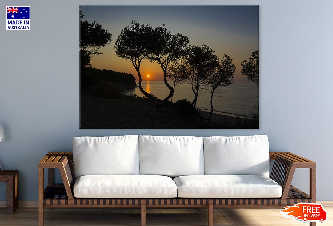 Trees Near Sea & Sunset Scenery Photograph Print 100% Australian Made