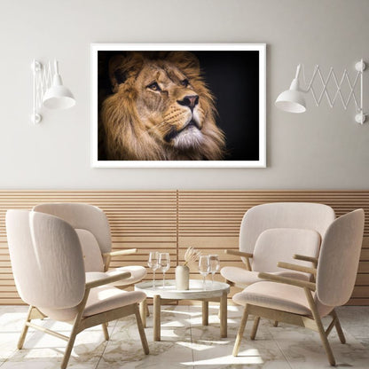 Lion Portrait Photograph Home Decor Premium Quality Poster Print Choose Your Sizes