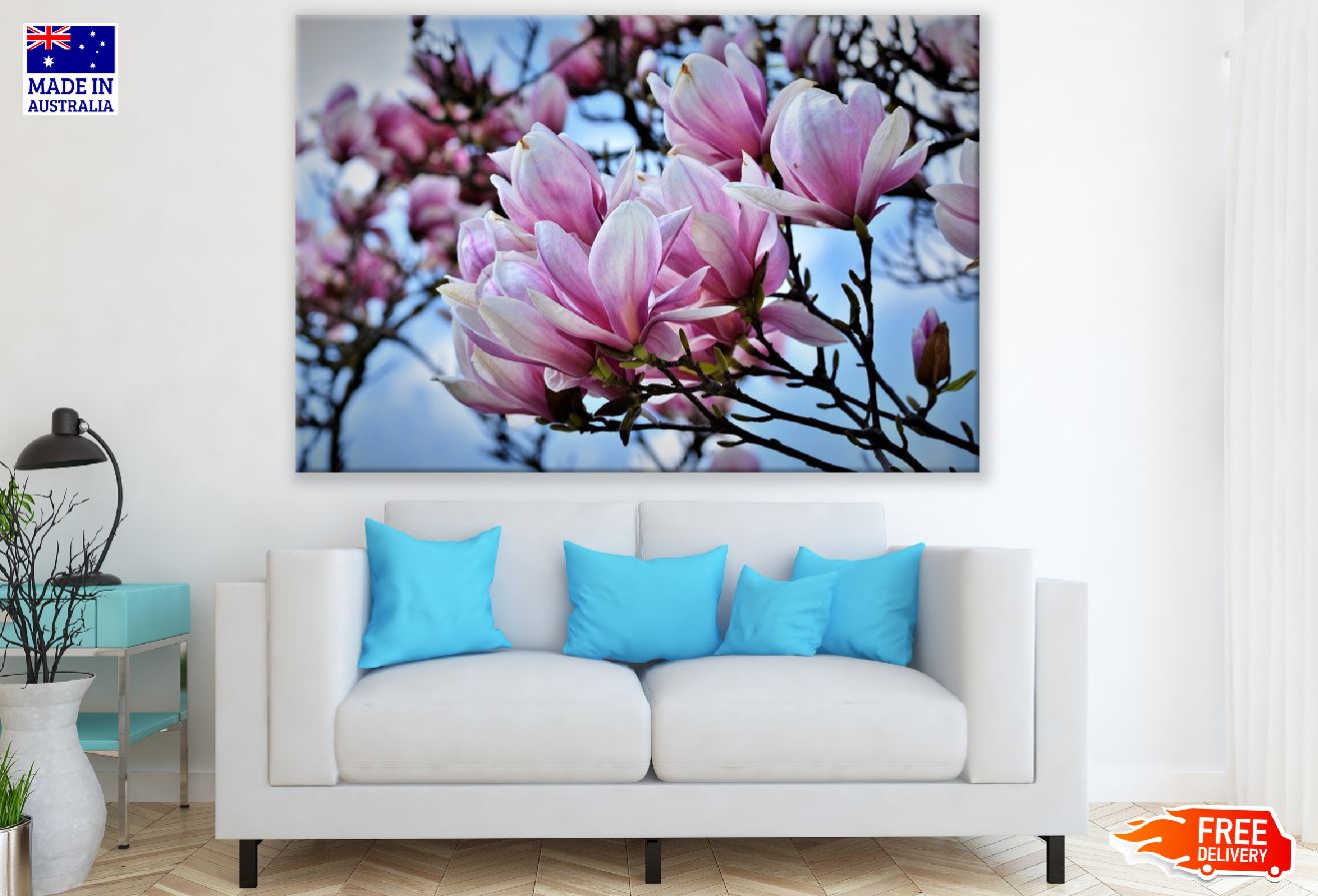 White Pink Magnolia Flowers Photograph Print 100% Australian Made
