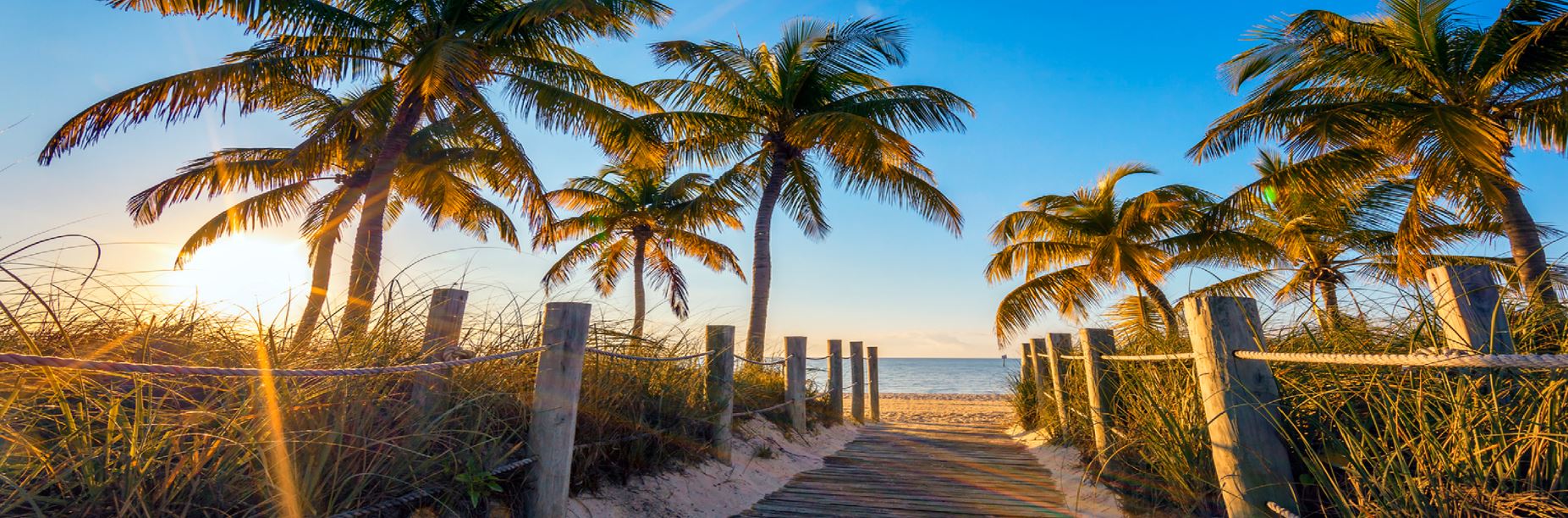 Panoramic Canvas Sea Pathway & Palm Trees Sunset Photograph High Quality 100% Australian Made Wall Canvas Print Ready to Hang