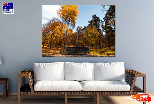 Bench in the Autumn Park View Photograph Print 100% Australian Made