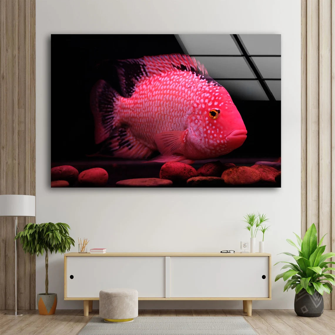 Pink Fish Closeup Photograph Acrylic Glass Print Tempered Glass Wall Art 100% Made in Australia Ready to Hang