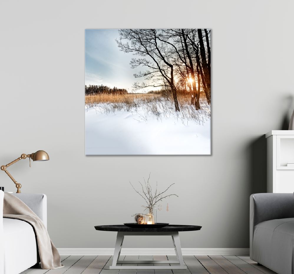 Square Canvas Trees & Grass on Snow Field View High Quality Print 100% Australian Made