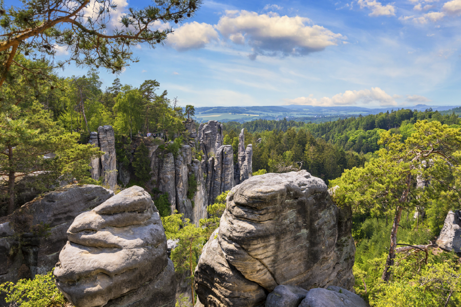 Mountain Rocks & Forest Sky View Photograph Home Decor Premium Quality Poster Print Choose Your Sizes