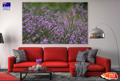 Beach Lavender Flowers Photograph Print 100% Australian Made
