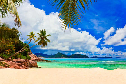 Bella Home Palms on Tropical Beach & Sky Print Canvas Ready to hang