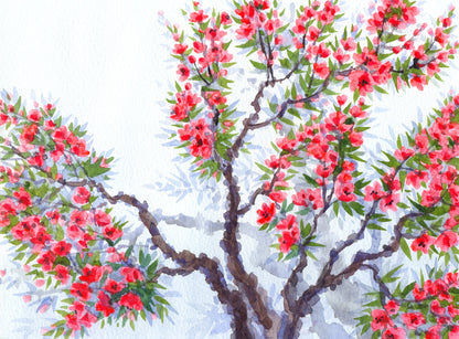 Stunning Watercolor Floral Painting Print 100% Australian Made