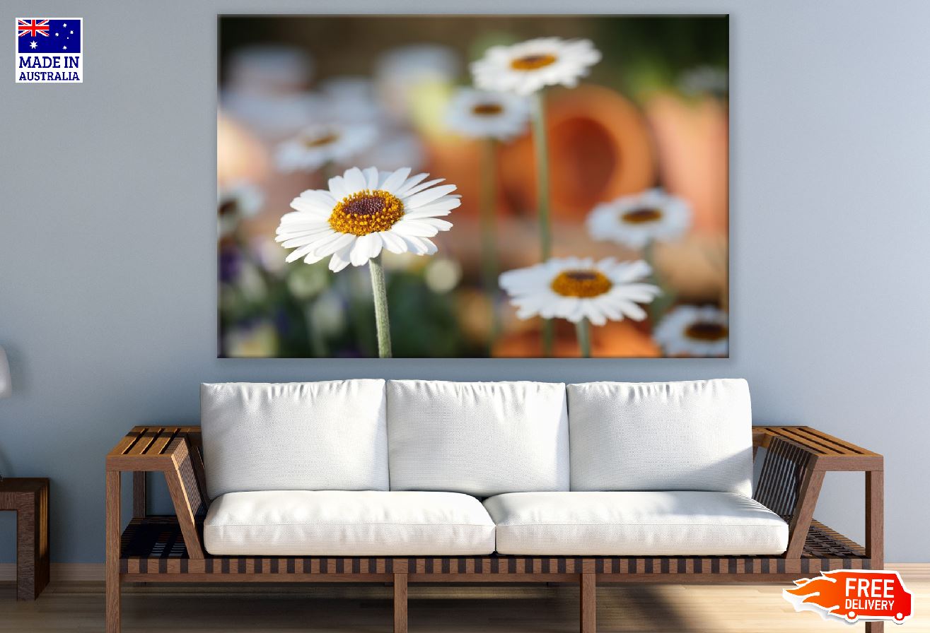White Daisy Flower Closeup Photograph Print 100% Australian Made