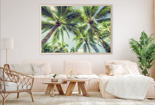 Coconut Palm Trees Below View Photograph Home Decor Premium Quality Poster Print Choose Your Sizes