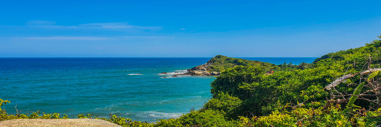 Panoramic Canvas Jungle Beach View Photograph High Quality 100% Australian Made Wall Canvas Print Ready to Hang