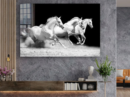 Running Horses B&W View Print Tempered Glass Wall Art 100% Made in Australia Ready to Hang