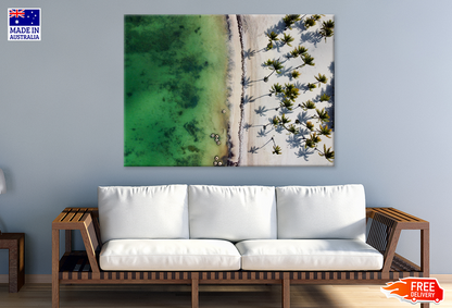 Plam Trees On Beach & Sea Aerial View Photograph Print 100% Australian Made