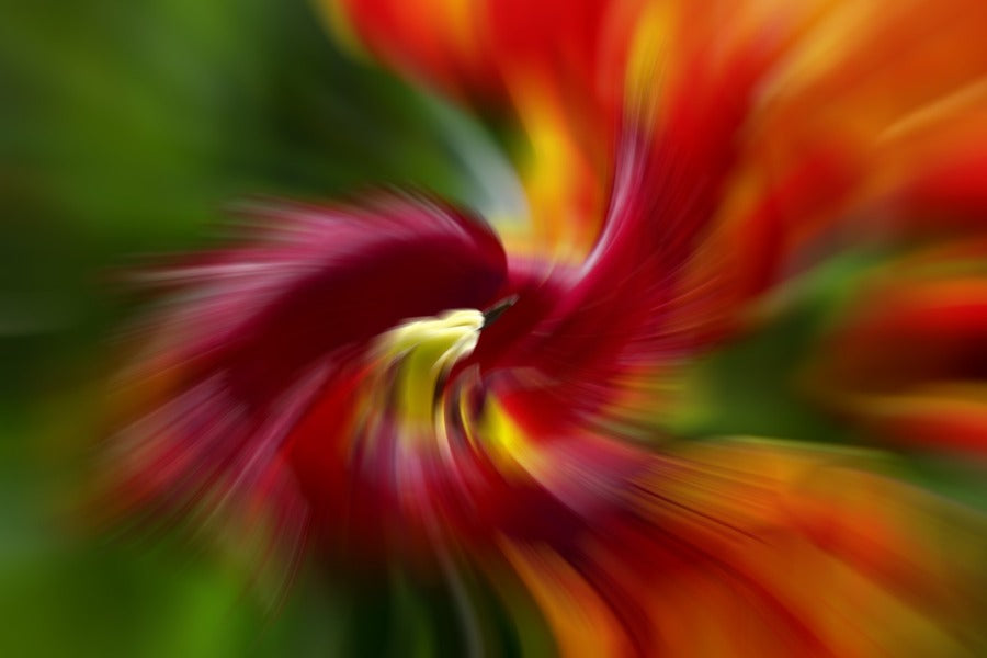 Red Orange & Yellow Abstract Design Print 100% Australian Made