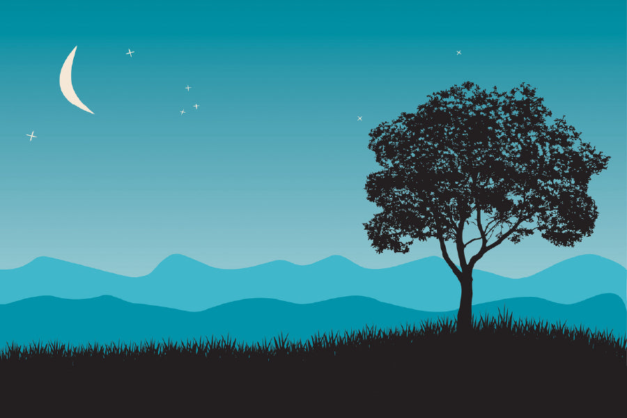 Tree in Night Scene Vector Art Design Print 100% Australian Made