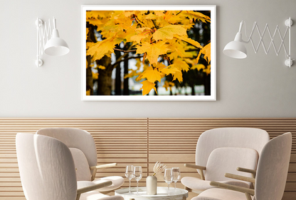 Autumn Leaves Close Up Photograph Home Decor Premium Quality Poster Print Choose Your Sizes