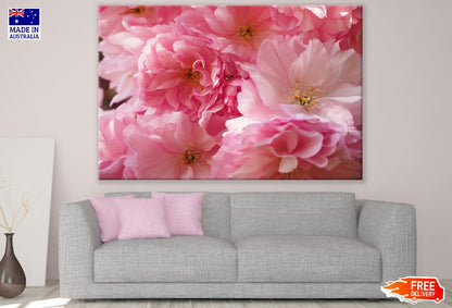 Cherry Blossom Flower Closeup Photograph Print 100% Australian Made