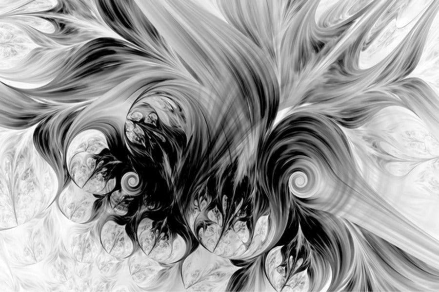 Flowing Natural Forms B&W Abstract Design Print 100% Australian Made