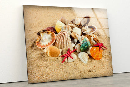 Sea Shells on Sand Photograph Acrylic Glass Print Tempered Glass Wall Art 100% Made in Australia Ready to Hang