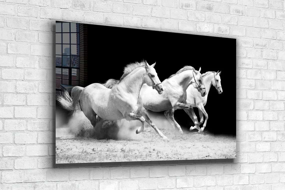 Running Horses B&W View Print Tempered Glass Wall Art 100% Made in Australia Ready to Hang