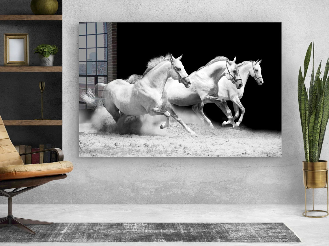 Running Horses B&W View Print Tempered Glass Wall Art 100% Made in Australia Ready to Hang