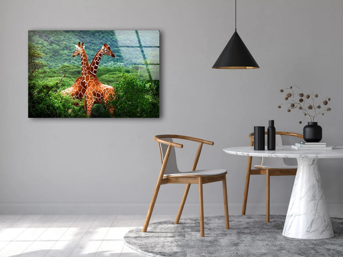 Giraffes in Forest Photograph Acrylic Glass Print Tempered Glass Wall Art 100% Made in Australia Ready to Hang