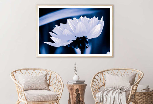 White Flower on Dark Side View Photograph Home Decor Premium Quality Poster Print Choose Your Sizes